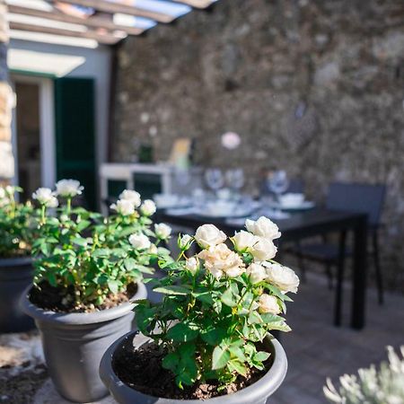 Gardenhouse Sarzana Apartment Ngoại thất bức ảnh