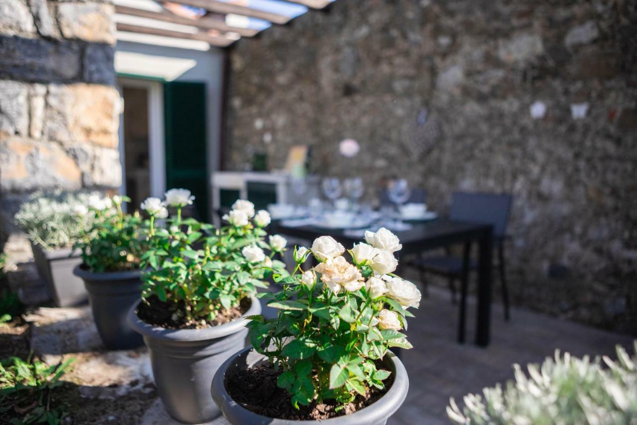 Gardenhouse Sarzana Apartment Ngoại thất bức ảnh